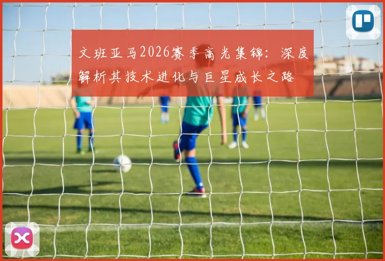 文班亚马2026赛季高光集锦：深度解析其技术进化与巨星成长之路